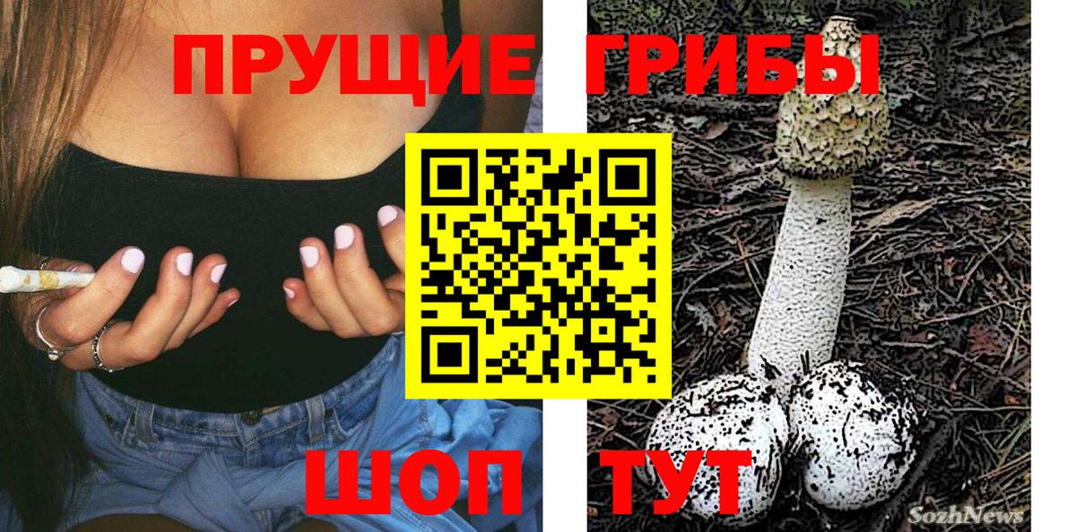 Псилоцибиновые грибы прущие грибы  Вход с VPN  Михайловка  Галлюциногенные грибы прущие грибы 