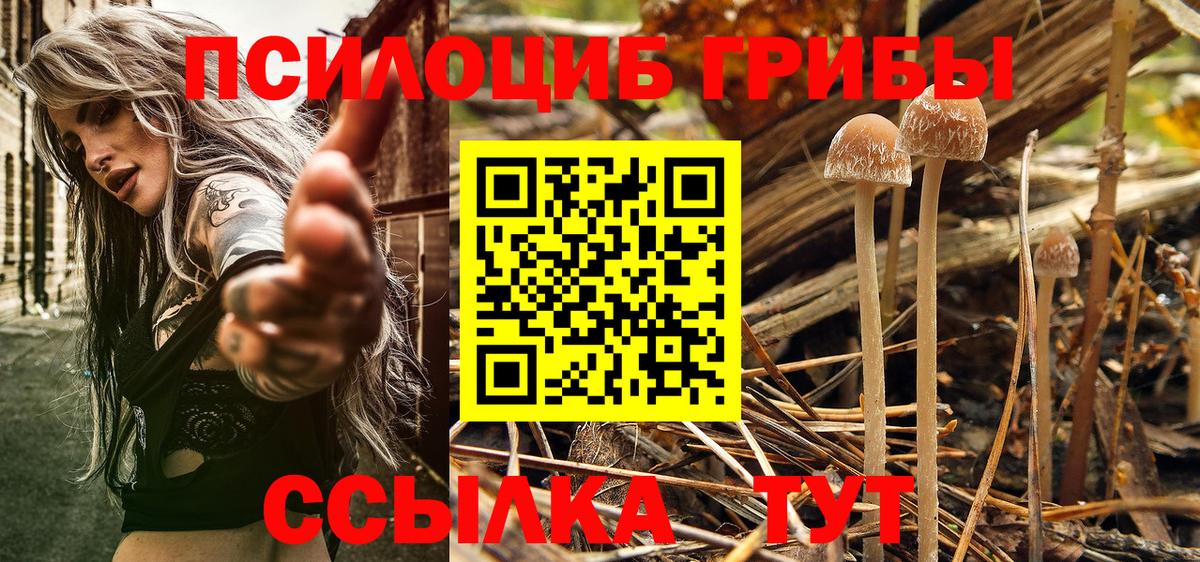 Галлюциногенные грибы Magic Shrooms Михайловка